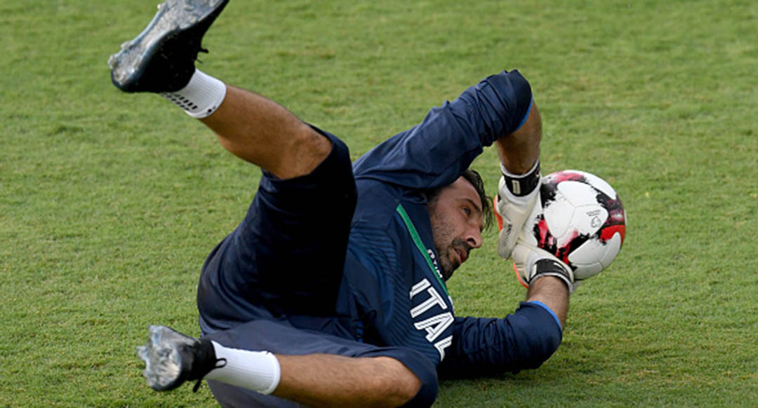 buffon puma buffon puma